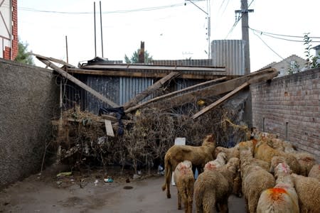 The Wider Image: Barricades and books in restive Kashmir neighbourhood