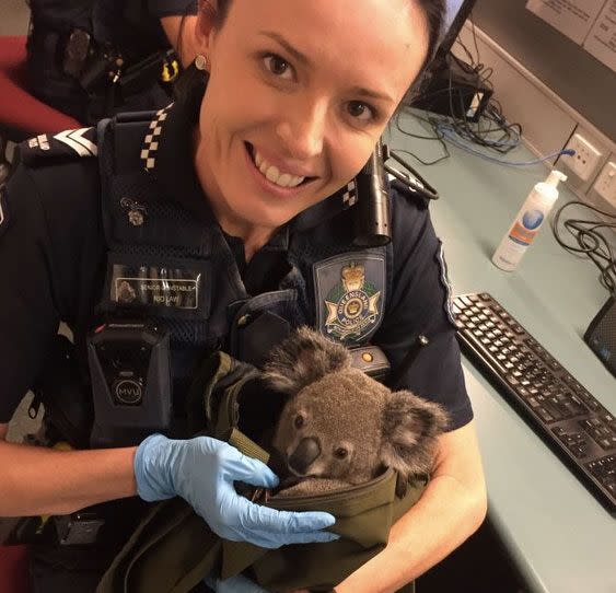 Police are investigating claims made by the woman that she found the animal at Nathan. Source: Queensland Police