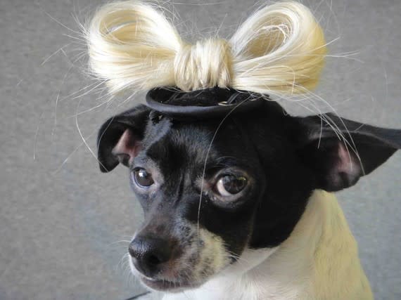 Photo by: lenapavia / Etsy<br><br><b>Lady Gaga</b> <br> Some dogs appreciate the out-of-the-ordinary and well, hair bow inspired by Lady Gaga = perfect. <br> <b><i><a rel="nofollow noopener" href="http://blogs.babble.com/pets/2012/09/14/9-dogs-dressed-up-as-their-favorite-celebrities/" target="_blank" data-ylk="slk:For 2 more pets dressed as their favorite celebrities, visit Babble!;elm:context_link;itc:0;sec:content-canvas" class="link ">For 2 more pets dressed as their favorite celebrities, visit Babble!</a></i></b> <br> <br>