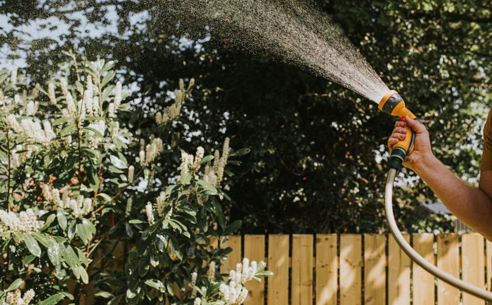 hand holding a garden hose with an attachment and watering a bush