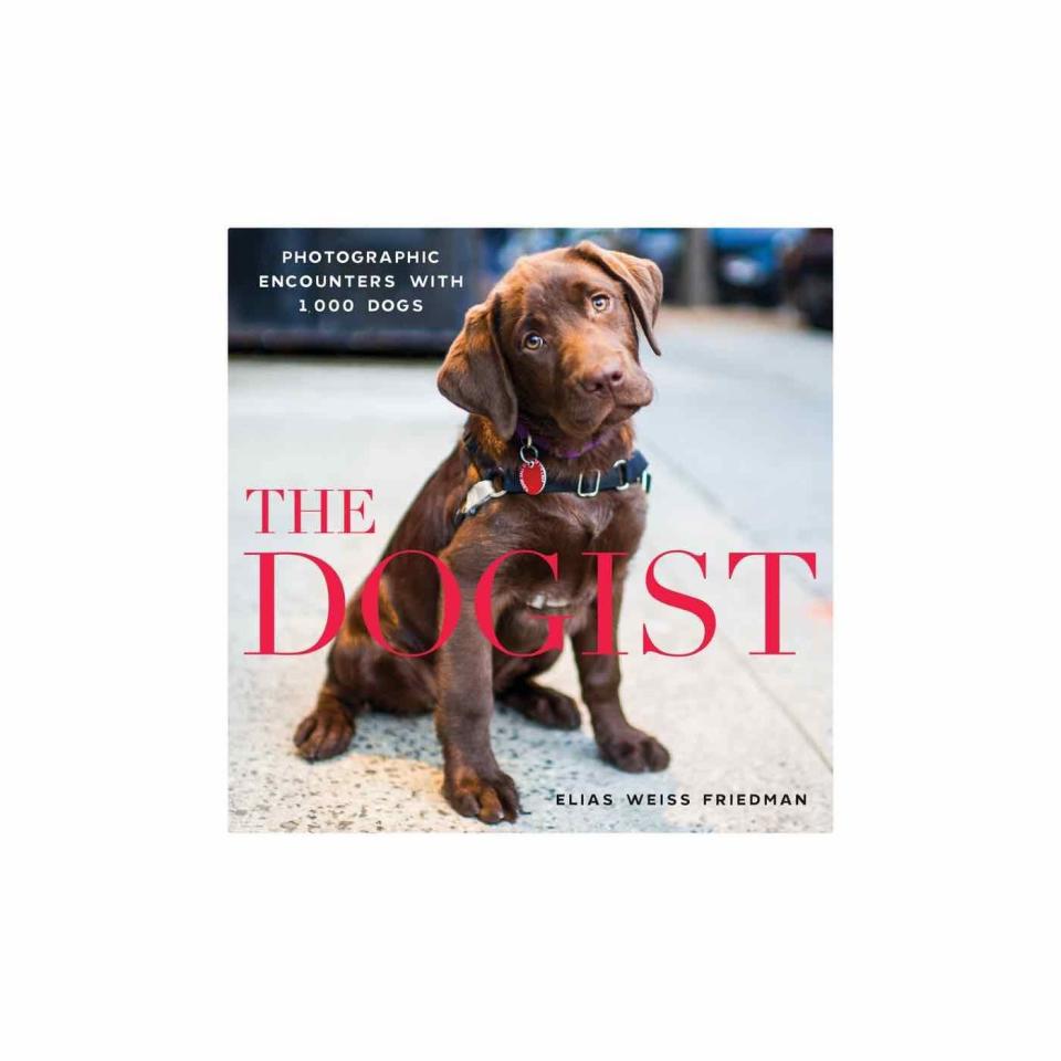 The Dogist: Photographic Encounters with 1,000 Dogs