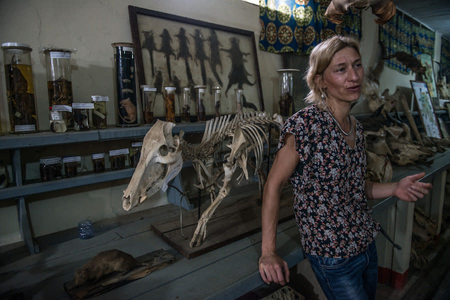 In the museum of the Congo Biodiversity Initiative, Dr. Anne Laudisoit explains the studies her team conducts on expeditions into the jungles surrounding the city of Kisangani. (Photo: Neil Brandvold/DNDi)