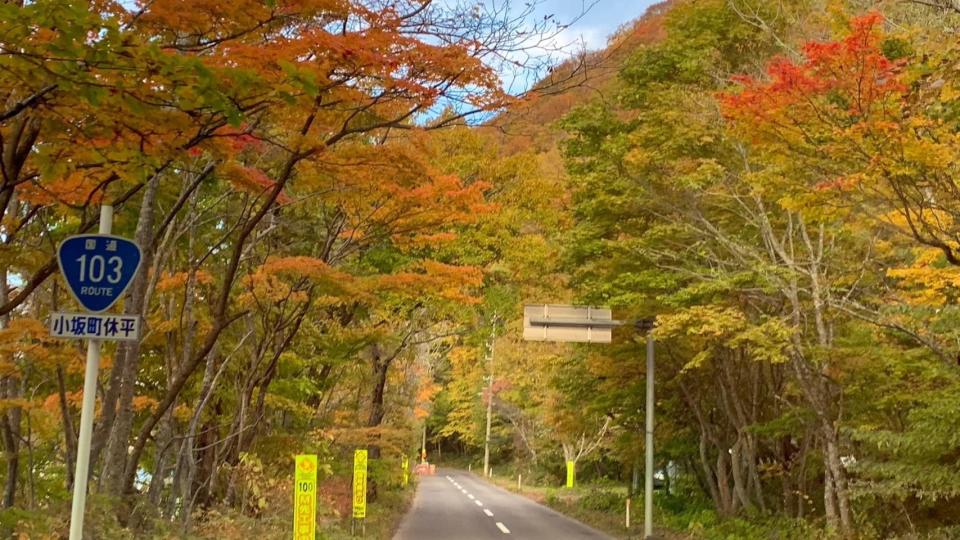 十和田湖29日楓葉實況。（世邦旅遊提供）