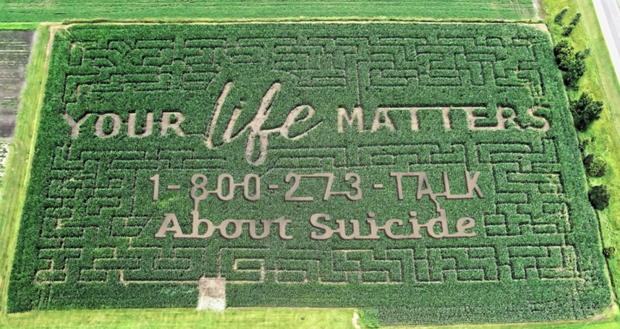 A Wisconsin family used their annual corn maze for an important message this year, drawing attention to the National Suicide Prevention Lifeline. (Photo: Facebook)