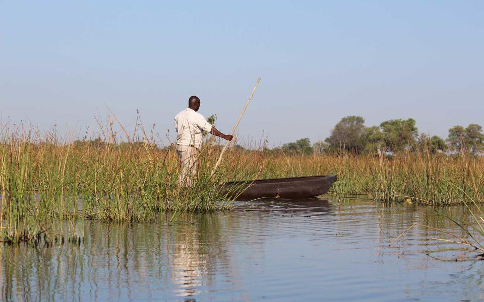 <p>Training to become a “poler” can take years—to balance standing up is quite a challenge! That said, many of the guides at Vumbura—like Sparks, seen here—are born and raised in the Delta and grew up using <em>makoro </em>to fish.</p>