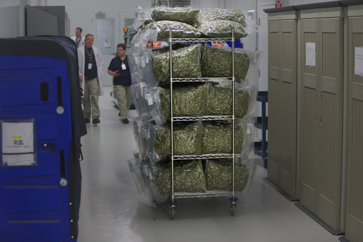 SMITHS FALLS, ONTARIO - MAY 15: A cart full of bagged marijuana is rolled through the corridors at the Canopy Growth Corporation headquarters in Smiths Falls, Ontario, on May 15, 2019. Canada has recently legalized recreational marijuana. (Photo by Lane Turner/The Boston Globe via Getty Images)