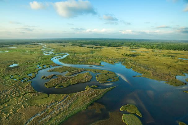 Everglades National Park