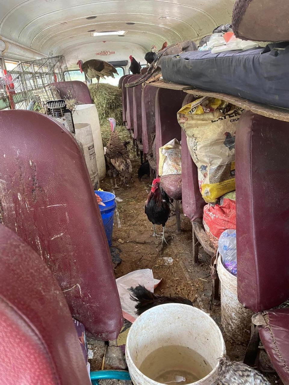 In a photo provided by the Adams County SPCA, deplorable conditions are seen inside a school bus where the SPCA would rescue over 30 animals..