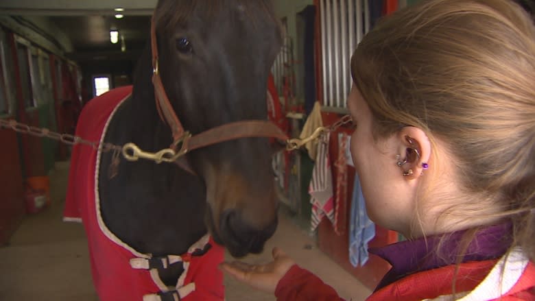 How a horse from P.E.I. found a new home with a boy with autism