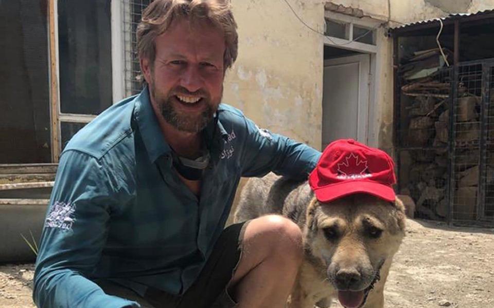 Claims resurfaced this week that the Prime Minister assisted the approval of the evacuation of cats and dogs with the Nowzad charity from Kabul - PA /Nowzad 