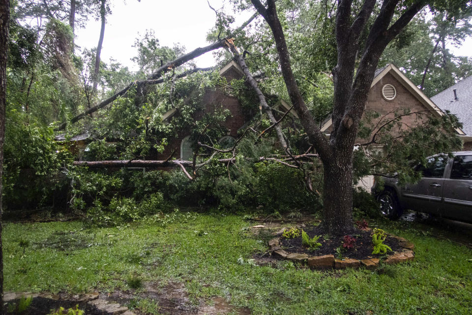 A fallen tree is shown fallen on a house during a severe storm, Thursday, May 2, 2024, in Spring, Texas. (Brett Coomer/Houston Chronicle via AP)