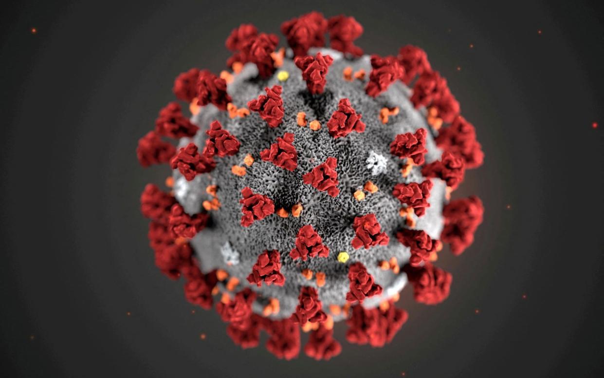 The ultrastructural morphology exhibited by the 2019 Novel Coronavirus is seen in an illustration released by the U.S.Centers for Disease Control and Prevention (CDC) in Atlanta, Georgia - MAM/CDC/Handout via REUTERS