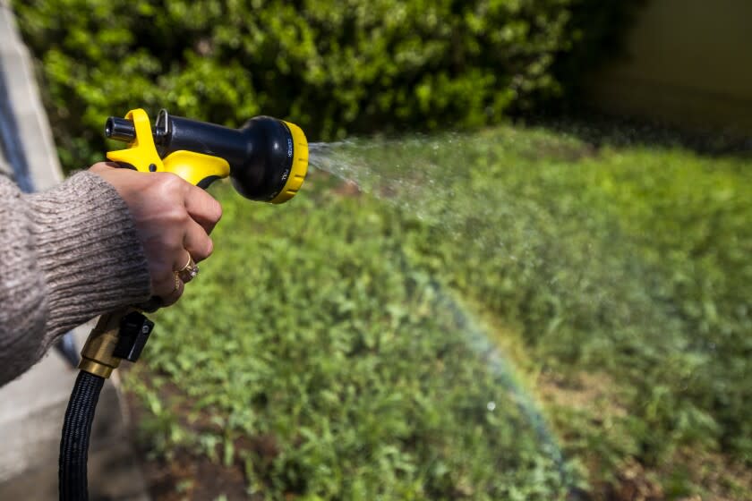 South Pasadena, CA - APRIL 30: Alicia De Mello waters her front yard in in South Pasadena at on Saturday, April 30, 2022. She said she recently plants native drought resestant native plants in her front yard. (Francine Orr / Los Angeles Times)