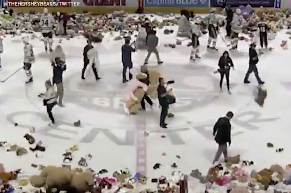 45,650 stuffed animals were thrown over the boards at the Hershey Bears' Giant Center.