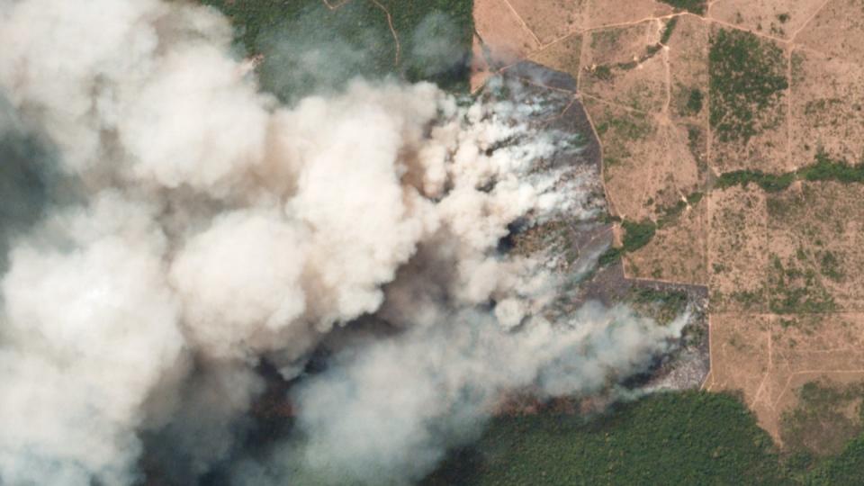 Das Satellitenbild zeigt die Brände in den betroffenen Regionen in dem brasilianischen Bundesstaat Pará. Foto: Planet Labs Inc.