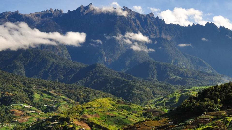 Kinabalu Park & Poring Hot Spring Tour. (Photo: Klook SG)