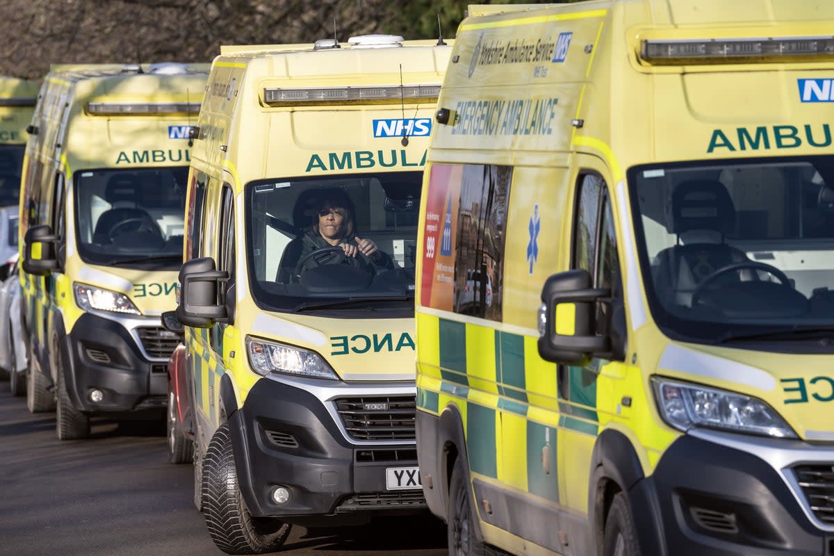 Non-emergency NHS ambulances, police cars and fire brigade vehicles will be permitted to use bus lanes on main roads, TfL has announced  (PA Wire)