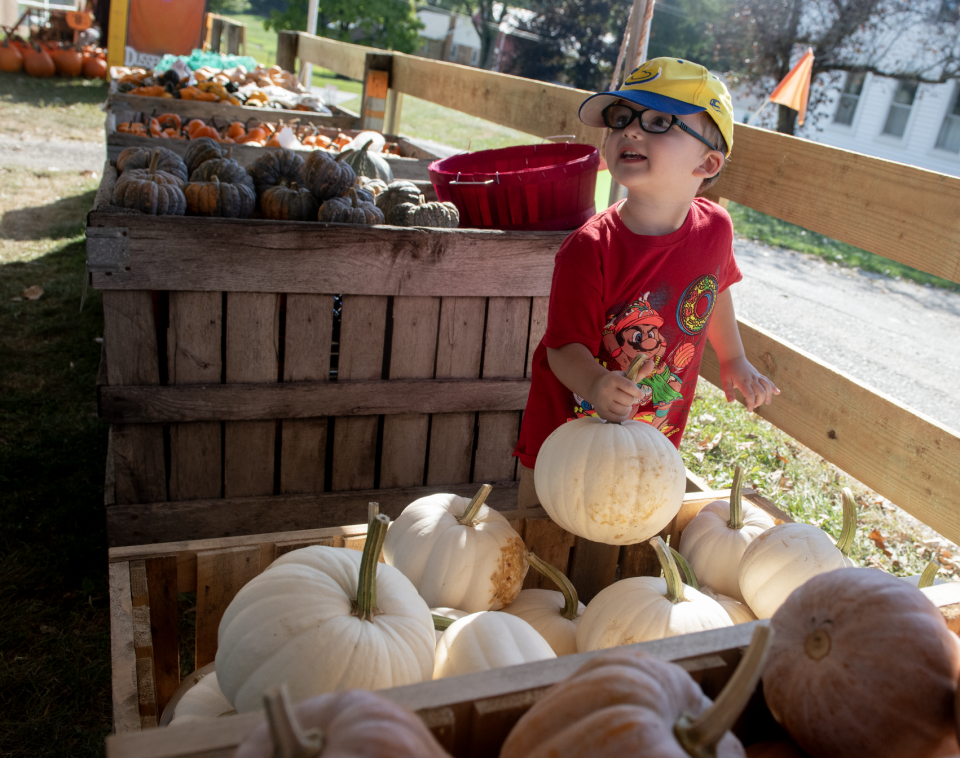 James Urwin, 4, of Brady Lake, picks out a white pumpkin at Dussel Farm on Oct. 3.