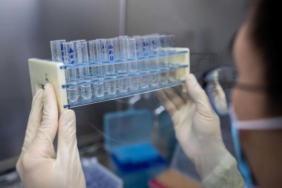 In this file picture taken on April 29, 2020, an engineer works at the Quality Control Laboratory on an experimental vaccine for the COVID-19 coronavirus at the Sinovac Biotech facilities in Beijing: AFP via Getty Images