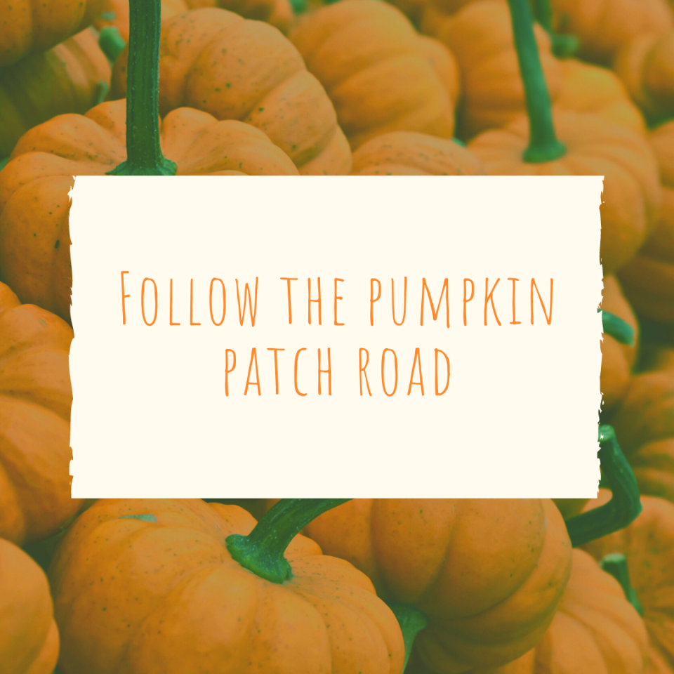 Follow the pumpkin patch road | Pumpkin Patch Caption