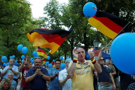 Germany's Alternative for Germany (AfD) campaigns ahead of state elections in Saxony and Brandenburg