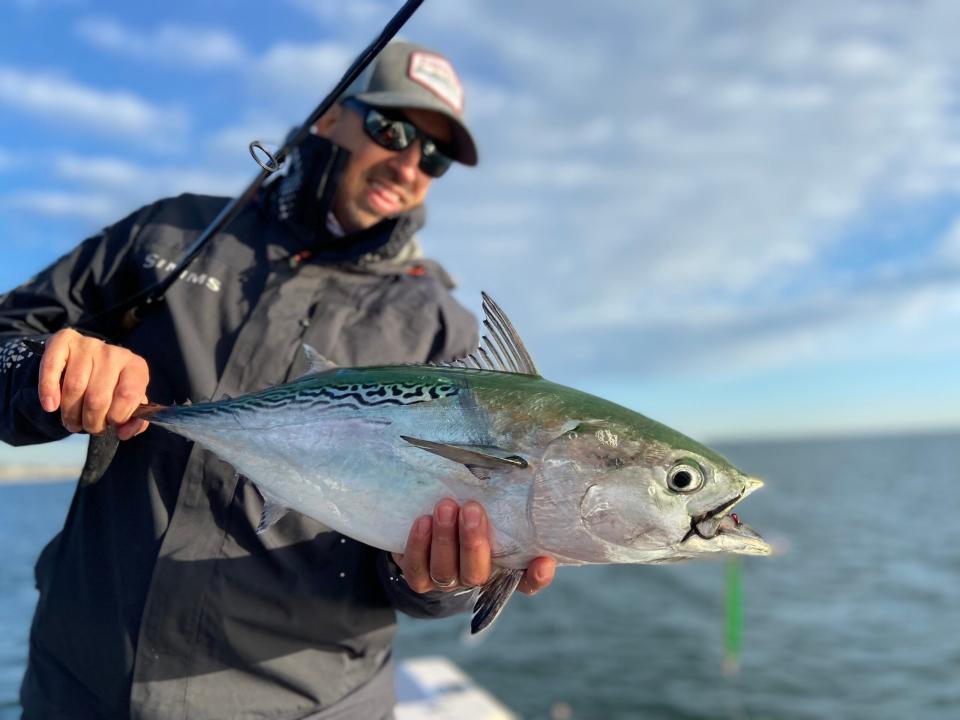 Fisherman holds a little tunny tuna