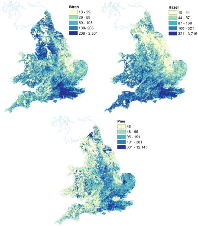 First ever hay fever map reveals UK pollen hotspots