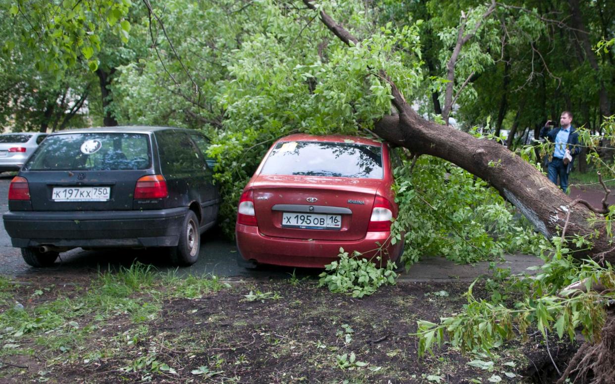 An uprooted tree following a heavy storm in Moscow - REUTERS