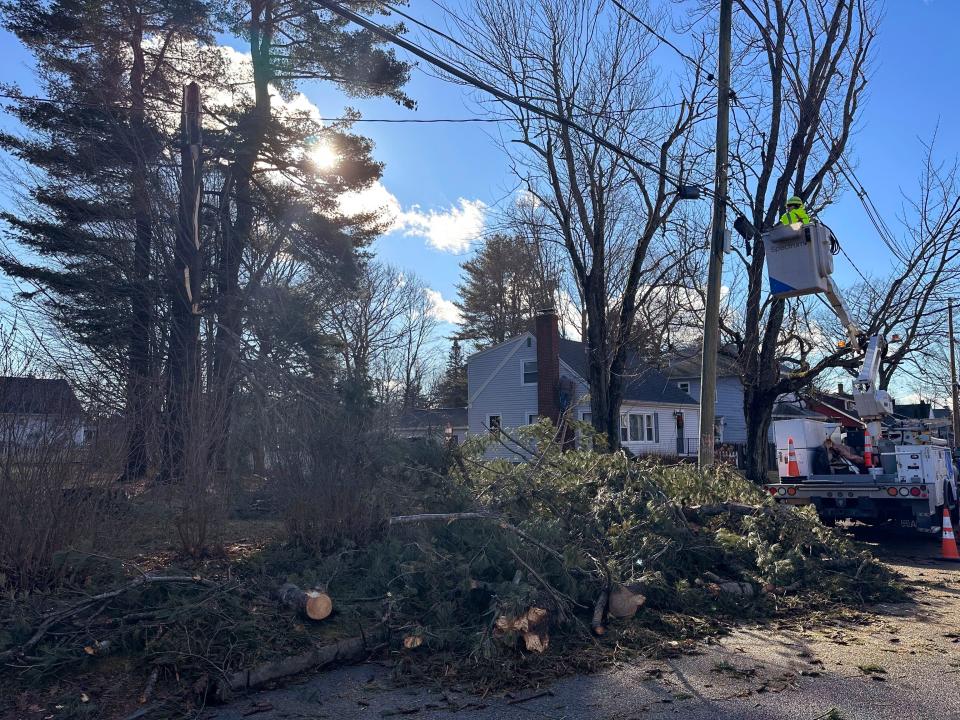 A large chunk of a 60-foot white pine tree lays across Ellen Briggs' yard in Portland, Maine, on Tuesday, Dec. 19, 2023. Utility crews are working to restore power to hundreds of thousands of customers in Maine and some rivers continued to rise following a powerful storm that hit the northeastern U.S. (AP Photo/Patrick Whittle)