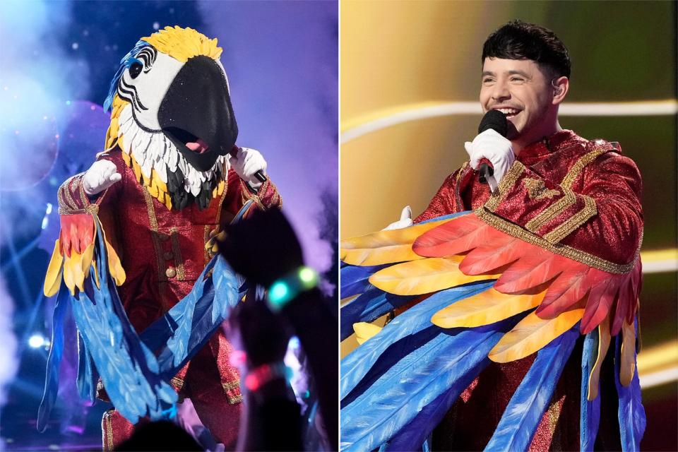 THE MASKED SINGER