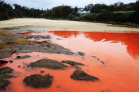 La marea roja tiene gran concentración de toxinas que pueden causar irritación en la piel, pero no es letal para los humanos, aunque sí para la vida marina.(Newspix/Rex/Rex USA )