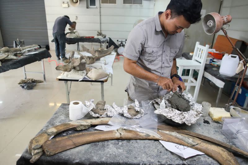 Thai archaeologists clean a whale skeleton in Pathum Thani
