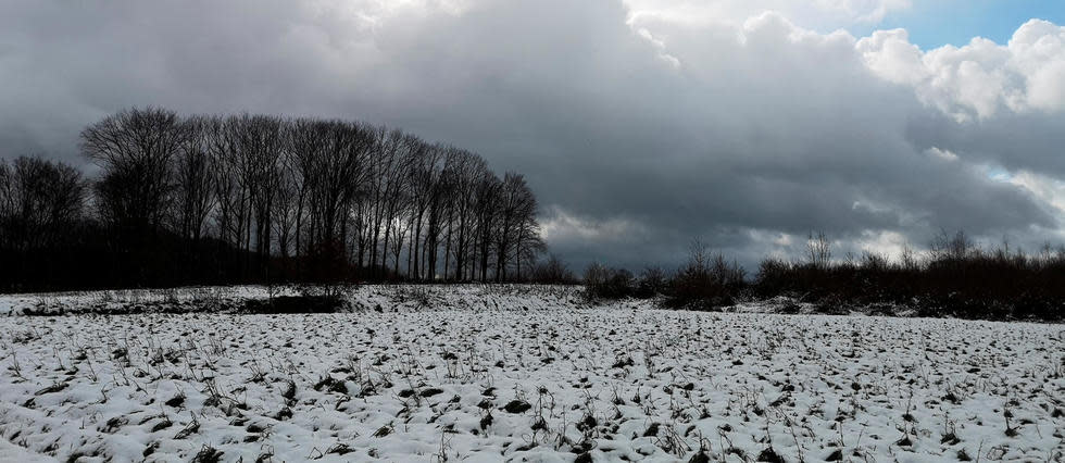 Une paysage enneigé, photographié en février 2020 en Belgique. (Photo d'illustration)
