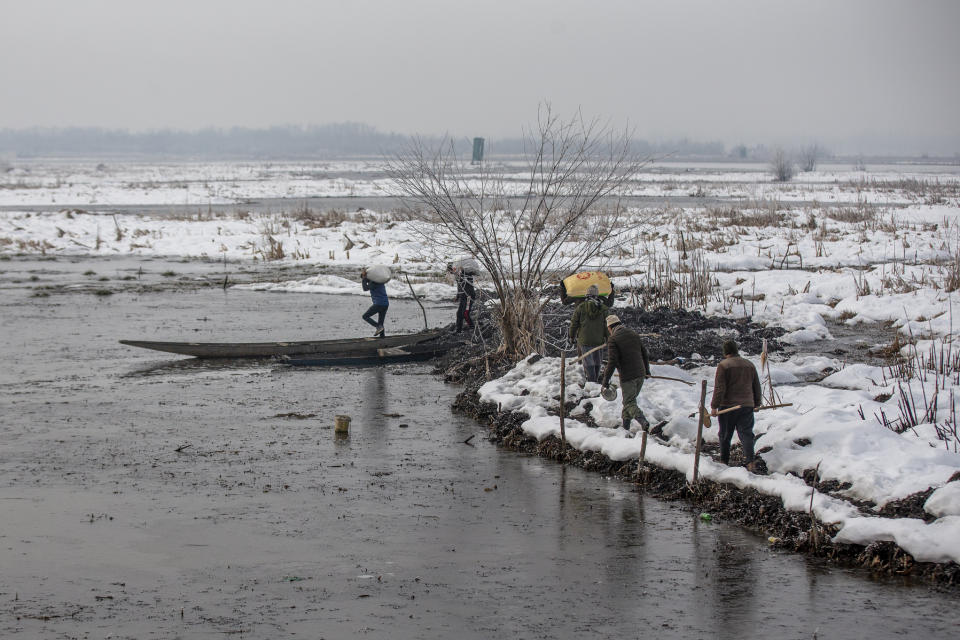 Wildlife workers carry paddy towards parked boats to spread on the frozen surface of a wetland in Hokersar, north of Srinagar, Indian controlled Kashmir, Friday, Jan. 22, 2021. Wildlife officials have been feeding birds to prevent their starvation as weather conditions in the Himalayan region have deteriorated and hardships increased following two heavy spells of snowfall since December. Temperatures have plummeted up to minus 10-degree Celsius (14 degrees Fahrenheit). (AP Photo/Dar Yasin)
