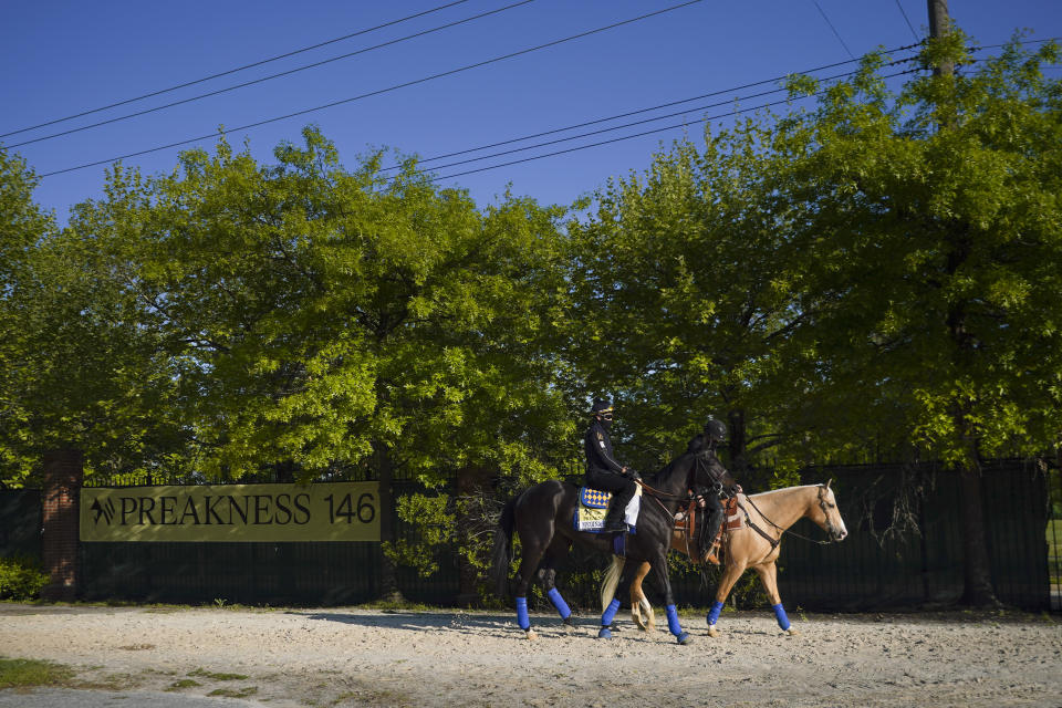 Kentucky Derby winner Medina Spirit, left, is walked to the track at Pimlico Race Course for a morning exercise ahead of the Preakness Stakes horse race, Tuesday, May 11, 2021, in Baltimore. (AP Photo/Julio Cortez)