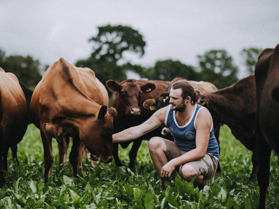 The British farmers producing top quality food and taking on intensive farming – and veganism