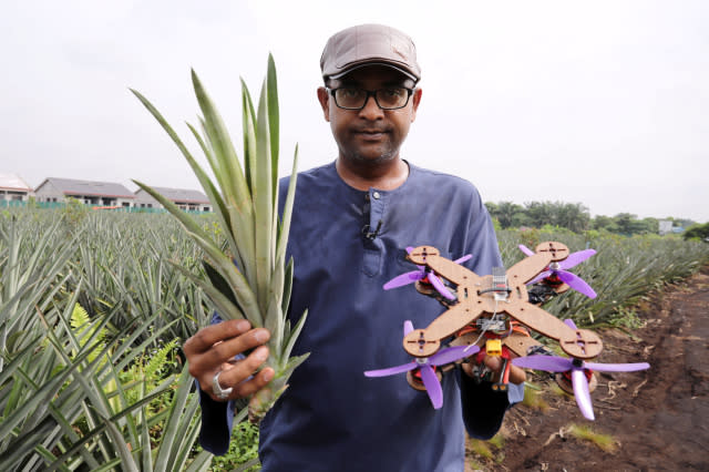 University Putra Malaysia professor Mohamed Thariq holds pineapple leaves and a drone partially made with pineapple stems, in Jenjarom, Malaysia December 12, 2020. Picture taken December 12, 2020. REUTERS/Lim Huey Teng - RC2M1L9AX0A6