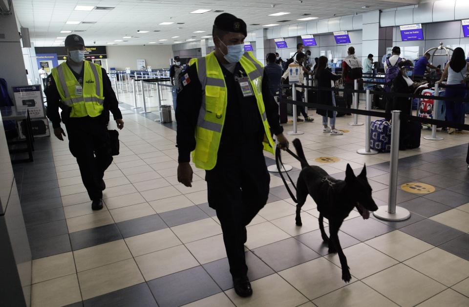 A police officer walks with his search dog as passengers check-in at Tocumen International Airport in Panama City, Monday, Oct. 12, 2020. Panama is lifting a broad spectrum of COVID-19 pandemic-related restrictions on Monday, including re-opening international flights and allowing hotels, casinos, and tourism-related activities. (AP Photo/Arnulfo Franco)