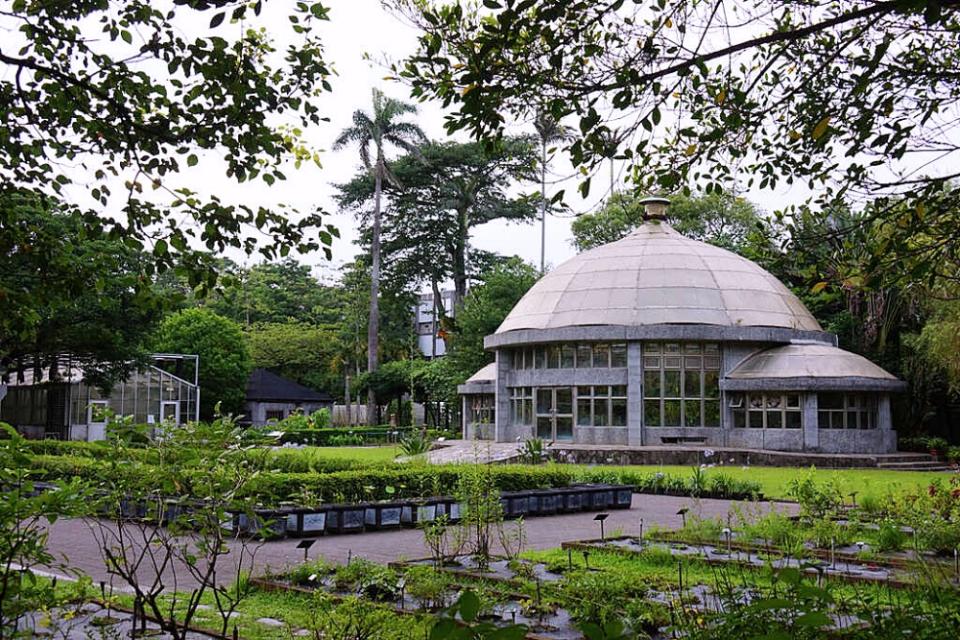 想要親近植物和綠意，就去台北植物園吧！