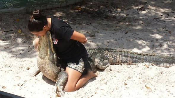 Woman wrestles alligator while 7 months pregnant