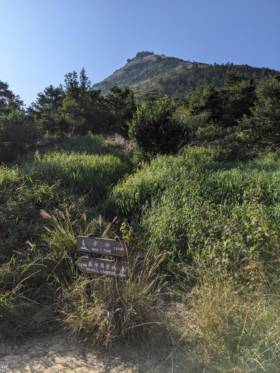 行山路線｜沙田水牛山環視西貢外海靚景！從西貢大水井起步經馬鞍山郊遊徑路線