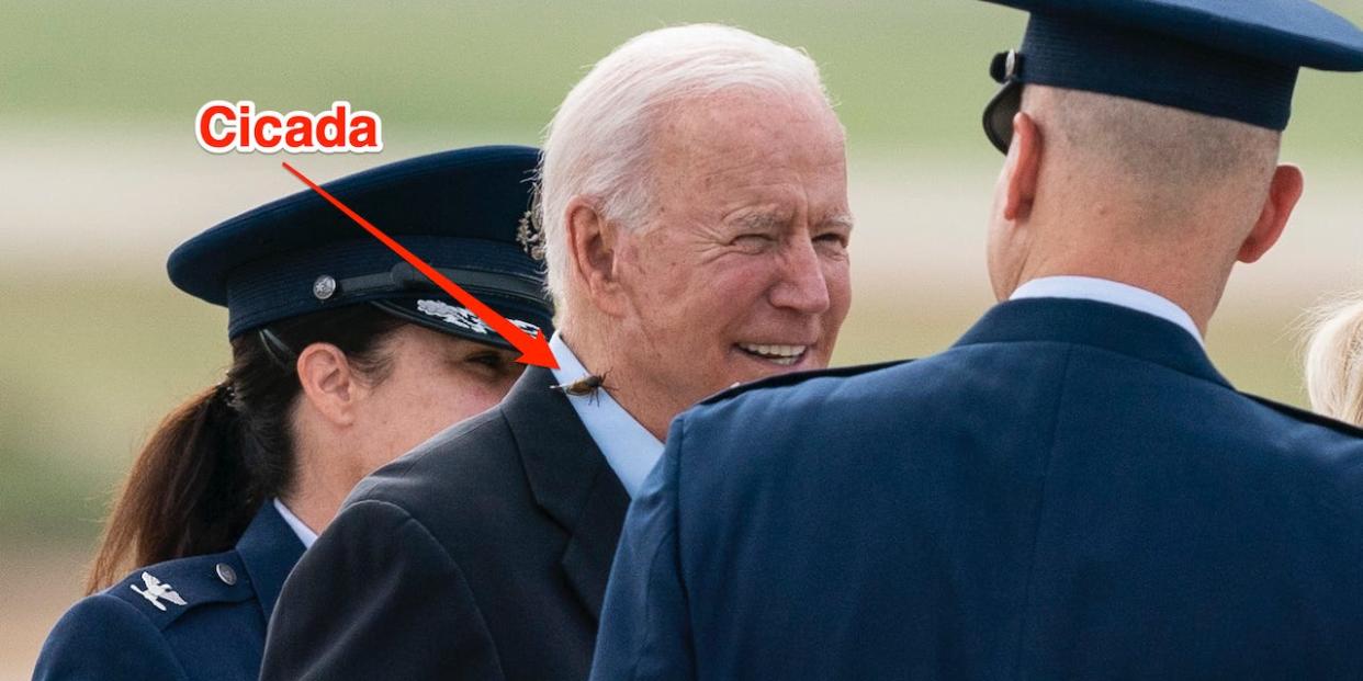 President Joe Biden, with a brood X cicada on his back, walks to board Air Force One upon departure, Wednesday, June 9, 2021, at Andrews Air Force Base, Md.