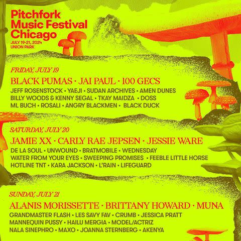 <p>Pitchfork Music Festival</p> Pitchfork Music Festival