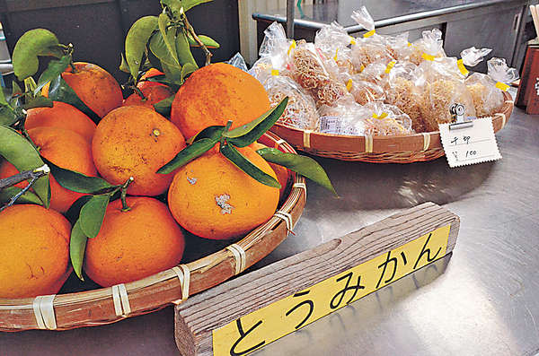 梅林之中的小賣店，可買到和歌山特產橘子。