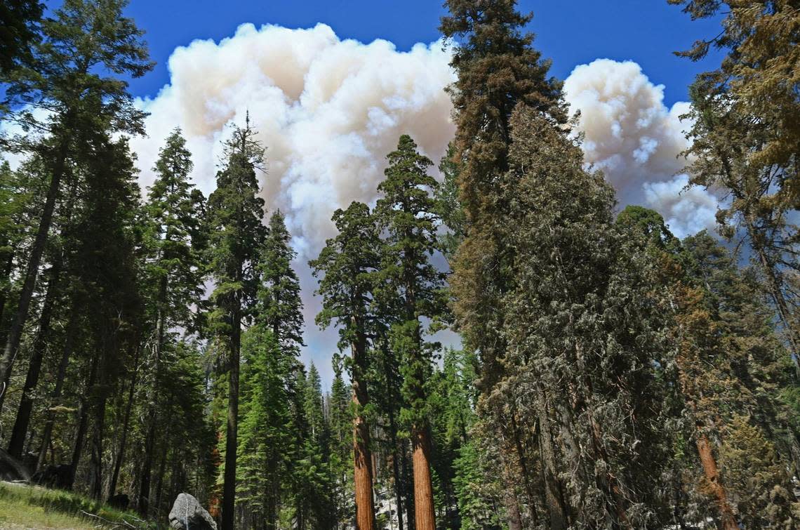 A giant plume of smoke rises beyond Mariposa Grove as the Washburn Fire continues to burn in Yosemite National Park Monday, July 11, 2022.