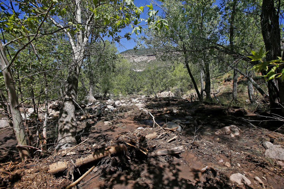 At least 9 dead, 1 still missing in Arizona flash flood