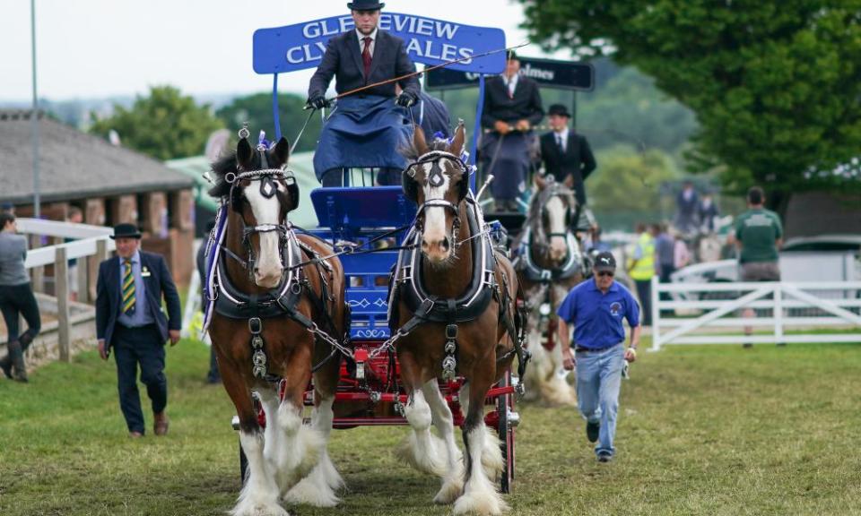 <span>Photograph: Ian Forsyth/Getty Images</span>