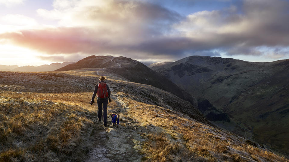 Dog hiking mountain path with owner