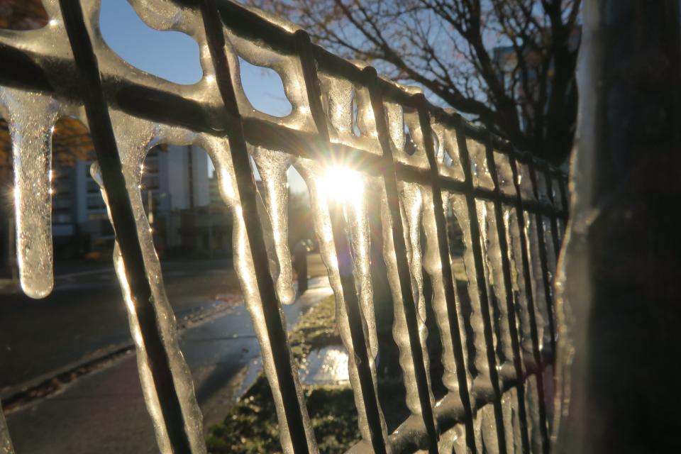 The morning sun shines through ice on Harmon Boulevard in Seacaucus on Nov. 13, 2019, after record-breaking cold weather seized the region overnight.