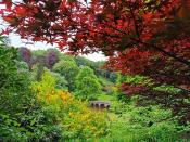 <p>Immerse yourself in over 300 years of history in the tranquil grounds of Stourhead garden in the Warminster area of Wiltshire. Boasting 2,650 acres of chalk downs, woods and farmland, the grounds here are teeming with wildlife. At its centre is a stunning landscaped garden with a show-stopping lake, a domed grotto, a pantheon, a Palladian bridge and the iconic circular Temple of Apollo.</p><p><a class="link " href="https://go.redirectingat.com?id=127X1599956&url=https%3A%2F%2Fwww.nationaltrust.org.uk%2Fstourhead&sref=https%3A%2F%2Fwww.housebeautiful.com%2Fuk%2Fgarden%2Fg33926566%2Fbest-national-trust-gardens%2F" rel="nofollow noopener" target="_blank" data-ylk="slk:SEE MORE AT STOURHEAD;elm:context_link;itc:0;sec:content-canvas">SEE MORE AT STOURHEAD</a><br></p><p><a href="https://www.instagram.com/p/CCOOA8sg_0O/?utm_source=ig_embed&utm_campaign=loading" rel="nofollow noopener" target="_blank" data-ylk="slk:See the original post on Instagram;elm:context_link;itc:0;sec:content-canvas" class="link ">See the original post on Instagram</a></p>